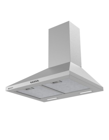 Campana de pared inclinada 60 cm Inox